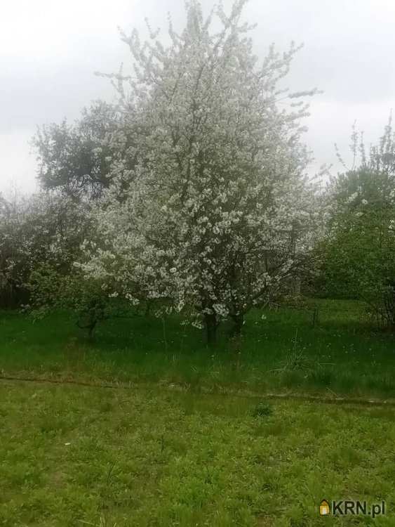 Racibórz, ul. , , Działki  na sprzedaż