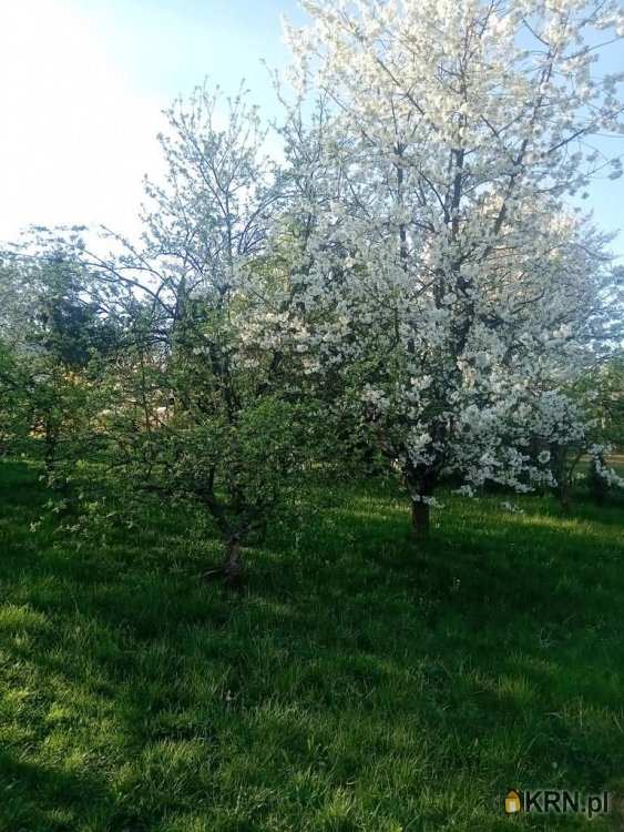 , Działki  na sprzedaż, Racibórz, ul. 