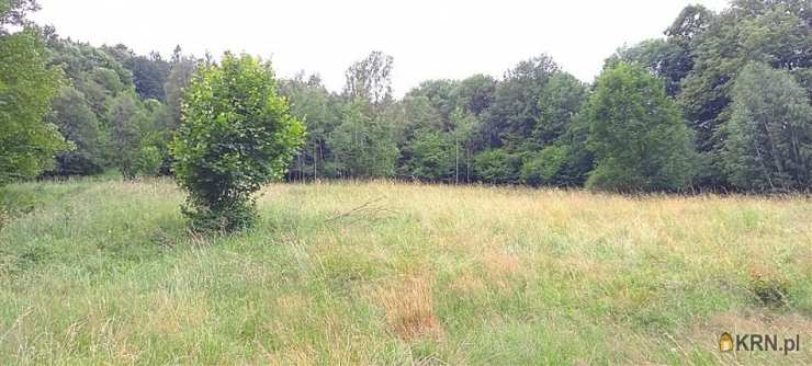 Działki  na sprzedaż, Walim, ul. , 