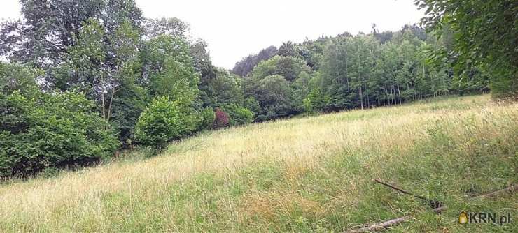 Działki  na sprzedaż, , Walim, ul. 