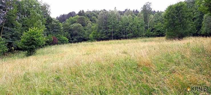 Walim, ul. , Działki  na sprzedaż, 