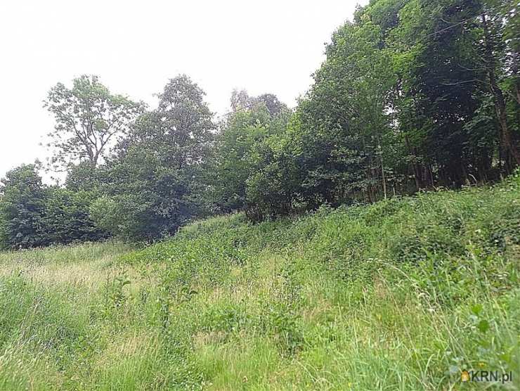 Walim, ul. , , Działki  na sprzedaż