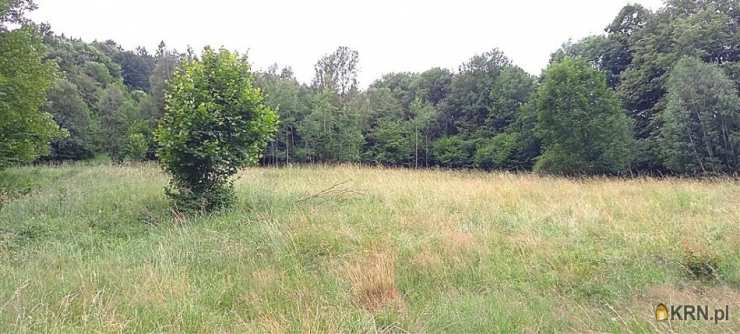 , Walim, ul. , Działki  na sprzedaż