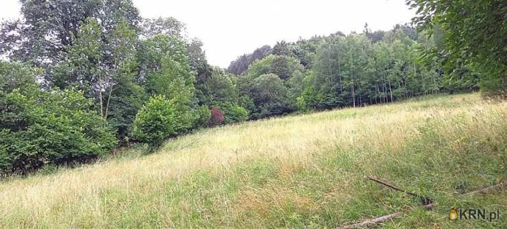 , Działki  na sprzedaż, Walim, ul. 