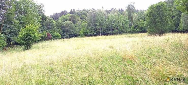 Działki  na sprzedaż, Walim, ul. , 