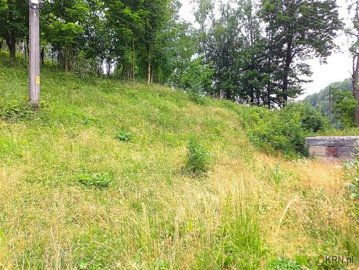 Działki  na sprzedaż, , Walim, ul. 