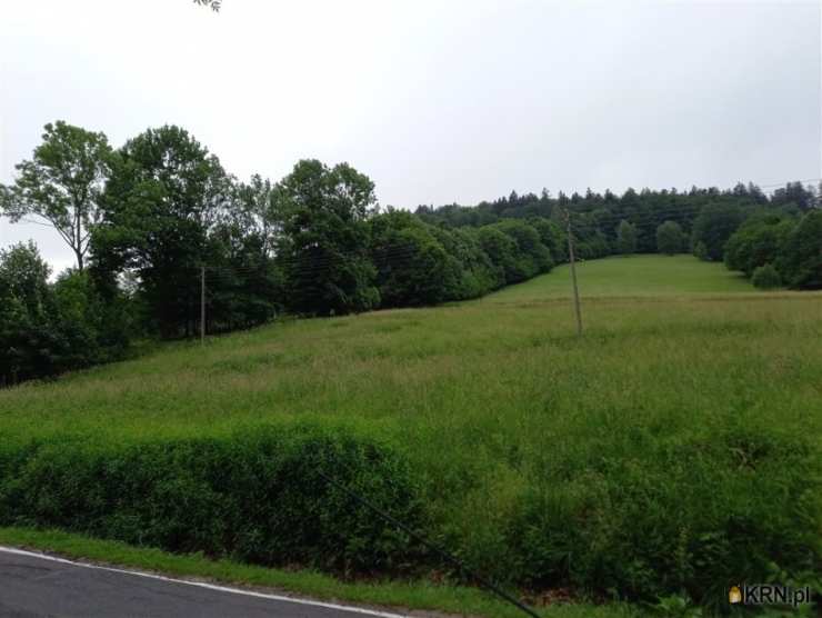 Walim, ul. , , Działki  na sprzedaż