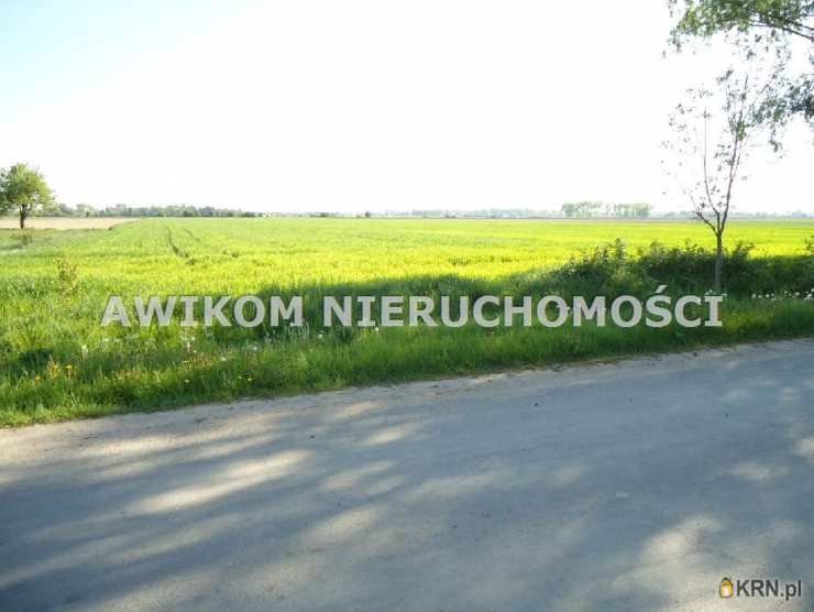 Kłudno Nowe, ul. , Działki  na sprzedaż, 