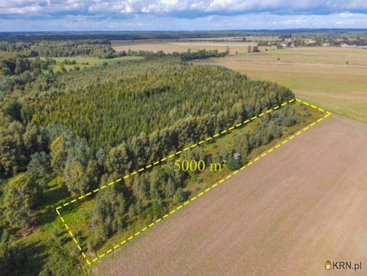 Działki  na sprzedaż, Białogórzyno, ul. , 