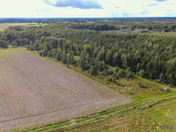 Białogórzyno, ul. , Działki  na sprzedaż, 