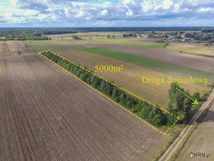Białogórzyno, ul. , Działki  na sprzedaż, 