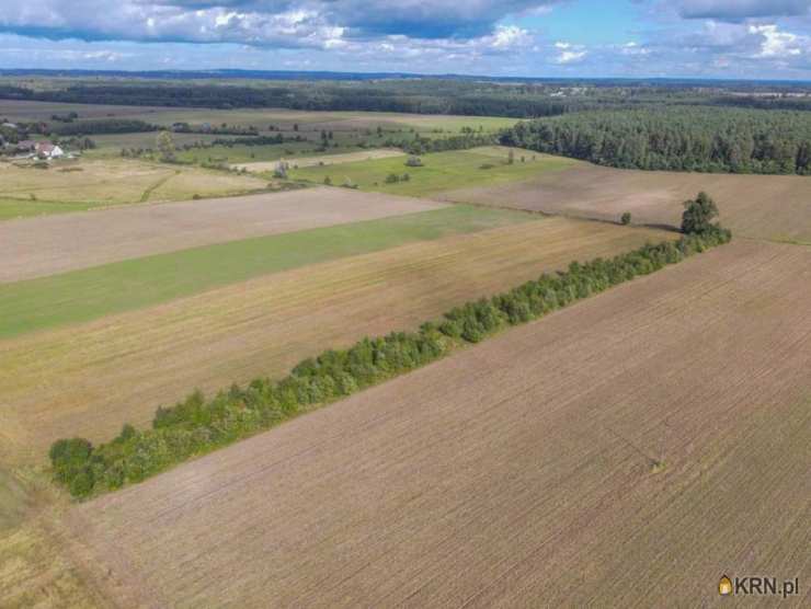 Białogórzyno, ul. , , Działki  na sprzedaż