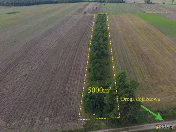 , Działki  na sprzedaż, Białogórzyno, ul. 