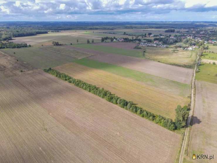 Białogórzyno, ul. , Działki  na sprzedaż, 