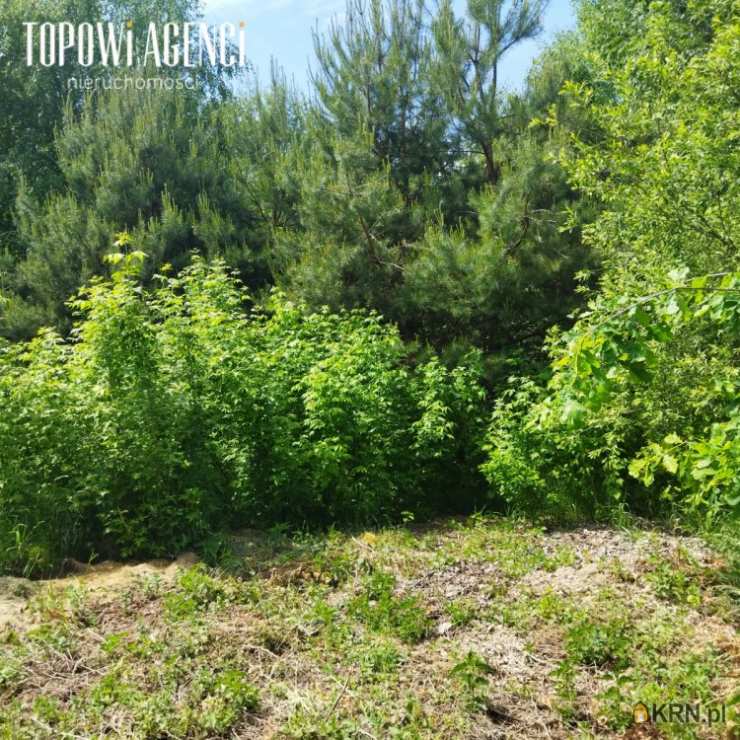 Działki  na sprzedaż, , Brańszczyk, ul. Jana Pawła II