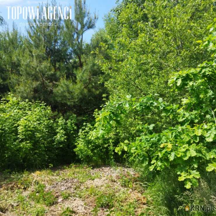 Brańszczyk, ul. Jana Pawła II, Działki  na sprzedaż, 