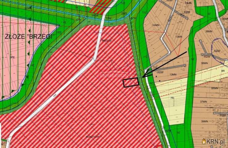 Działki  do wynajęcia, , Brzegi, ul. 