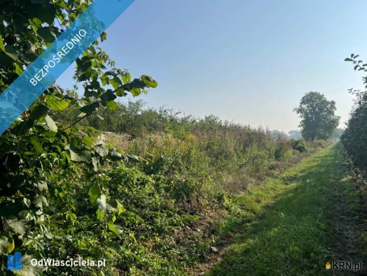 Działki  na sprzedaż, , Brzumin, ul. 