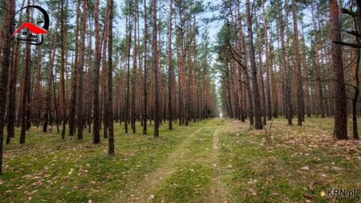 Działki  na sprzedaż, , Drzewce, ul. 
