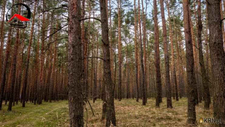 Drzewce, ul. , Działki  na sprzedaż, 