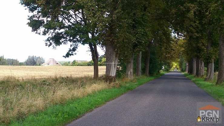 Kołczewo, ul. , Działki  na sprzedaż, 