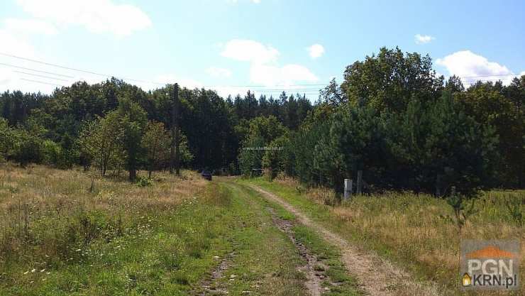 Kołczewo, ul. , Działki  na sprzedaż, 