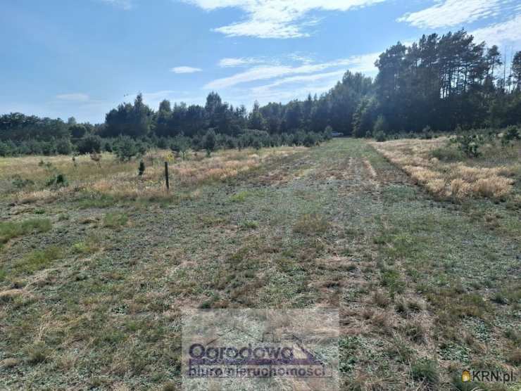 Ogrodowa Sp. z o.o., Działki  na sprzedaż, Korytnica, ul. 