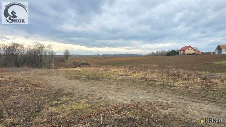 Działki  na sprzedaż, Książniczki, ul. , 