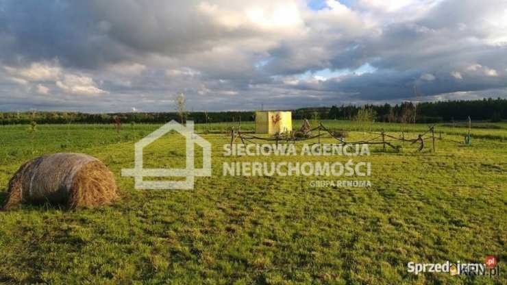 , Działki  na sprzedaż, Lisewiec, ul. 