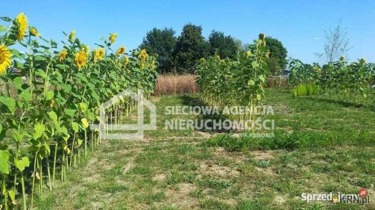 Działki  na sprzedaż, , Lisewiec, ul. 