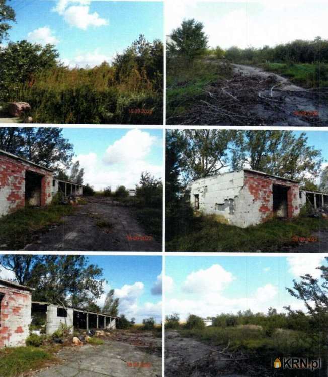 Działki  na sprzedaż, Pieryszew, ul. , 