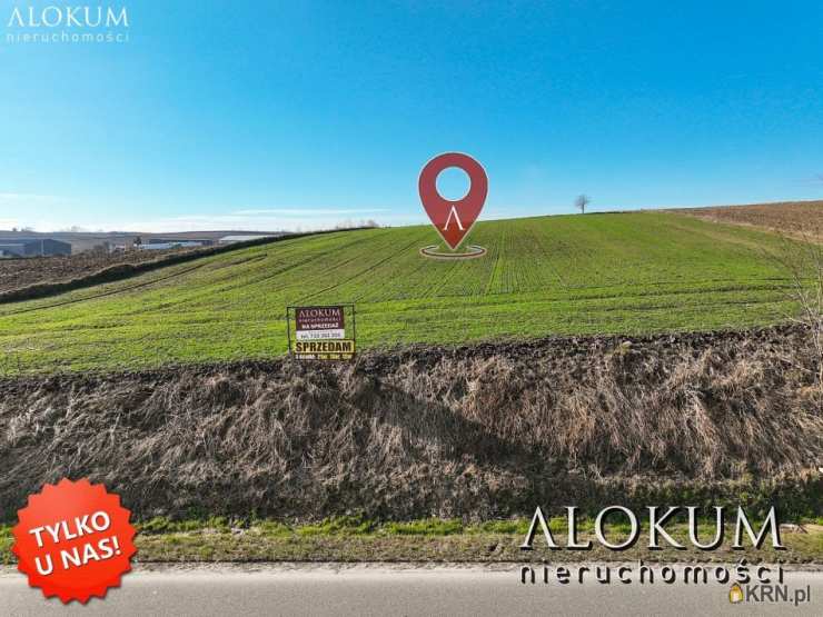 Działki  na sprzedaż, Rudno Górne, ul. , 