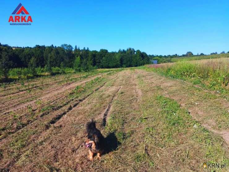 Działki  na sprzedaż, Sadek, ul. , 