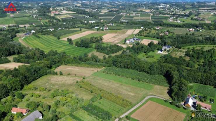 Działki  na sprzedaż, , Sadek, ul. 