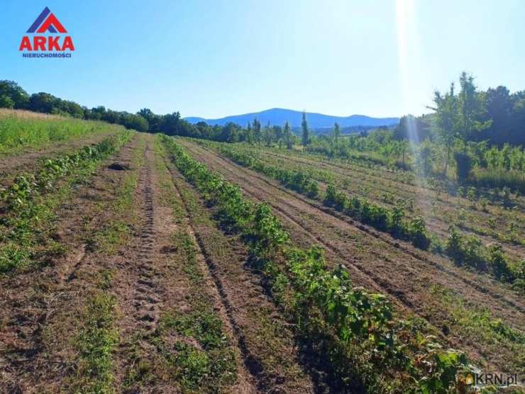 Sadek, ul. , Działki  na sprzedaż, 