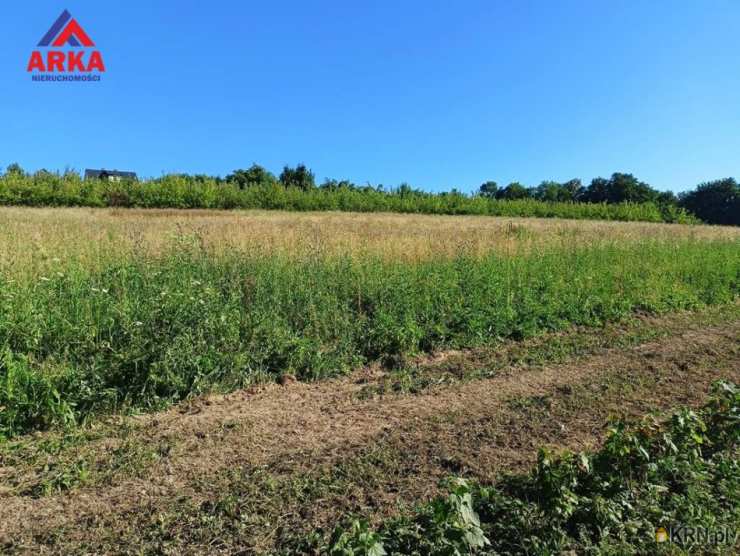 , Działki  na sprzedaż, Sadek, ul. 