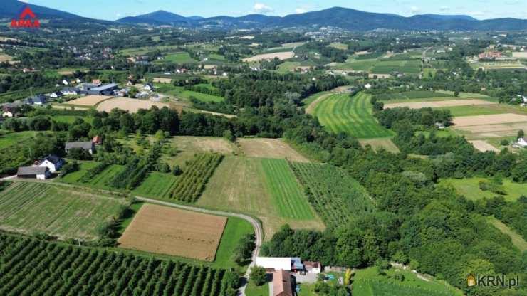 Sadek, ul. , Działki  na sprzedaż, 