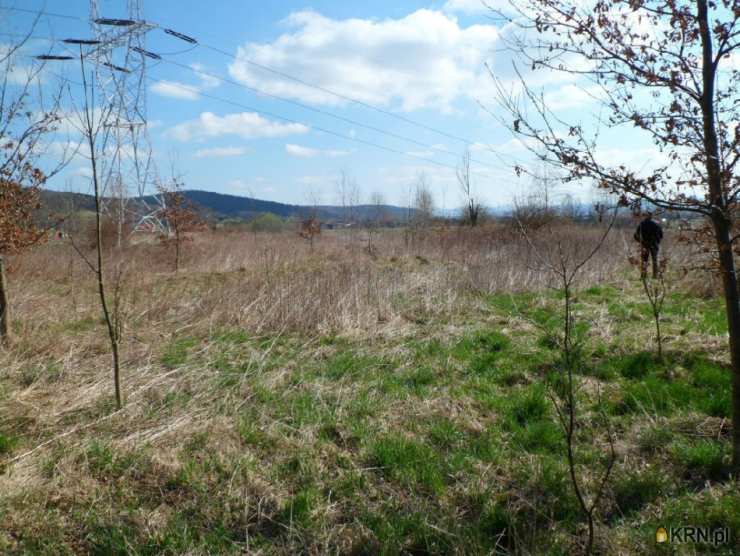 Działki  na sprzedaż, , Wojcieszyce, ul. 