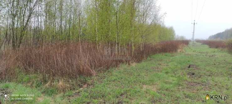 Działki  na sprzedaż, Turowice, ul. Sarenki, 