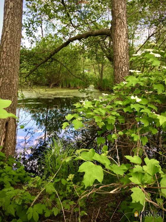 Mariew, ul. , Działki  na sprzedaż, 