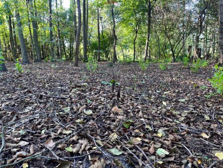 Mariew, ul. , Działki  na sprzedaż, 
