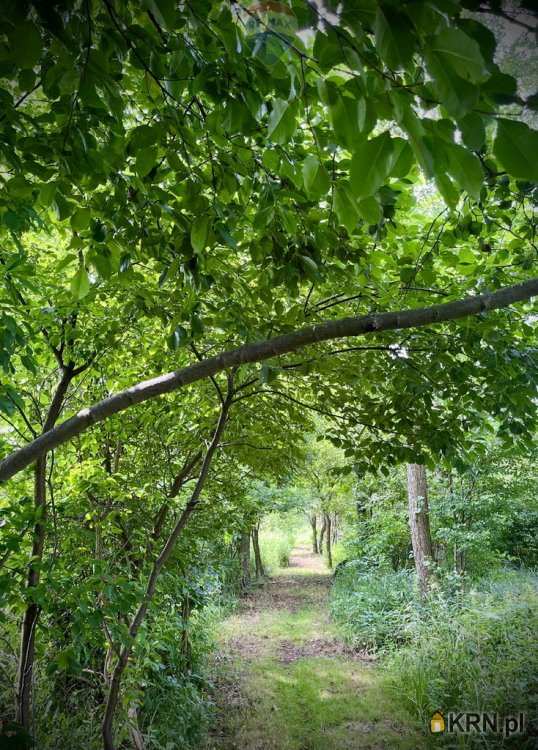 Działki  na sprzedaż, , Mariew, ul. 