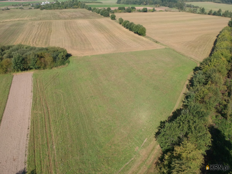 Działki  na sprzedaż, Młynary, ul. ul. Kolejowa, 