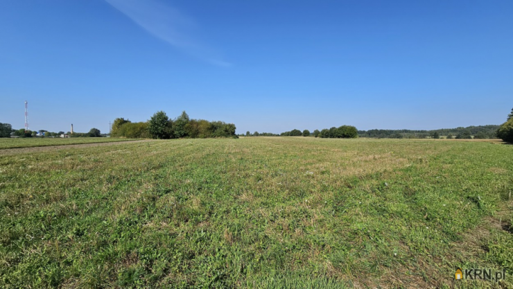 Szulc & Szulc Nieruchomośc, Działki  na sprzedaż, Młynary, ul. ul. Kolejowa