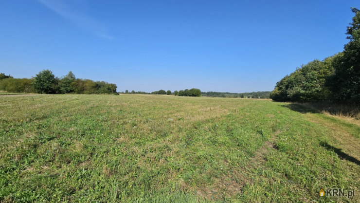 Działki  na sprzedaż, Młynary, ul. ul. Kolejowa, 