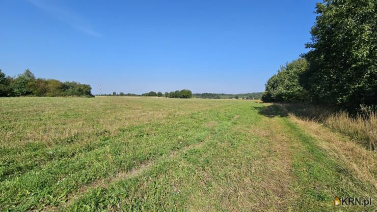 Działki  na sprzedaż, , Młynary, ul. ul. Kolejowa