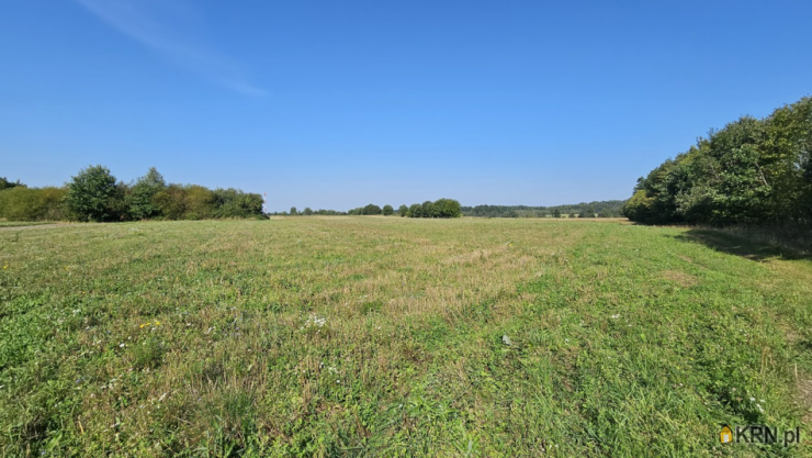 Młynary, ul. ul. Kolejowa, Działki  na sprzedaż, 