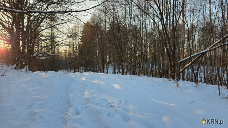 Elbląg, Dąbrowa, ul. ul. Jaworowa, , Działki  na sprzedaż