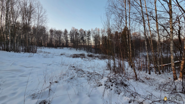 , Elbląg, Dąbrowa, ul. ul. Jaworowa, Działki  na sprzedaż
