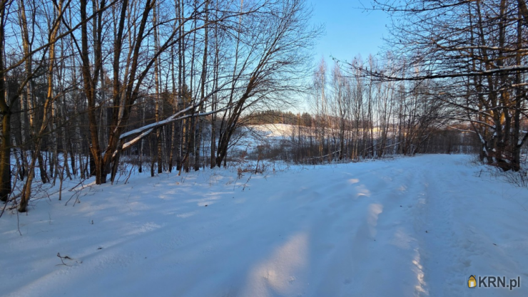 Elbląg, Dąbrowa, ul. ul. Jaworowa, Działki  na sprzedaż, 